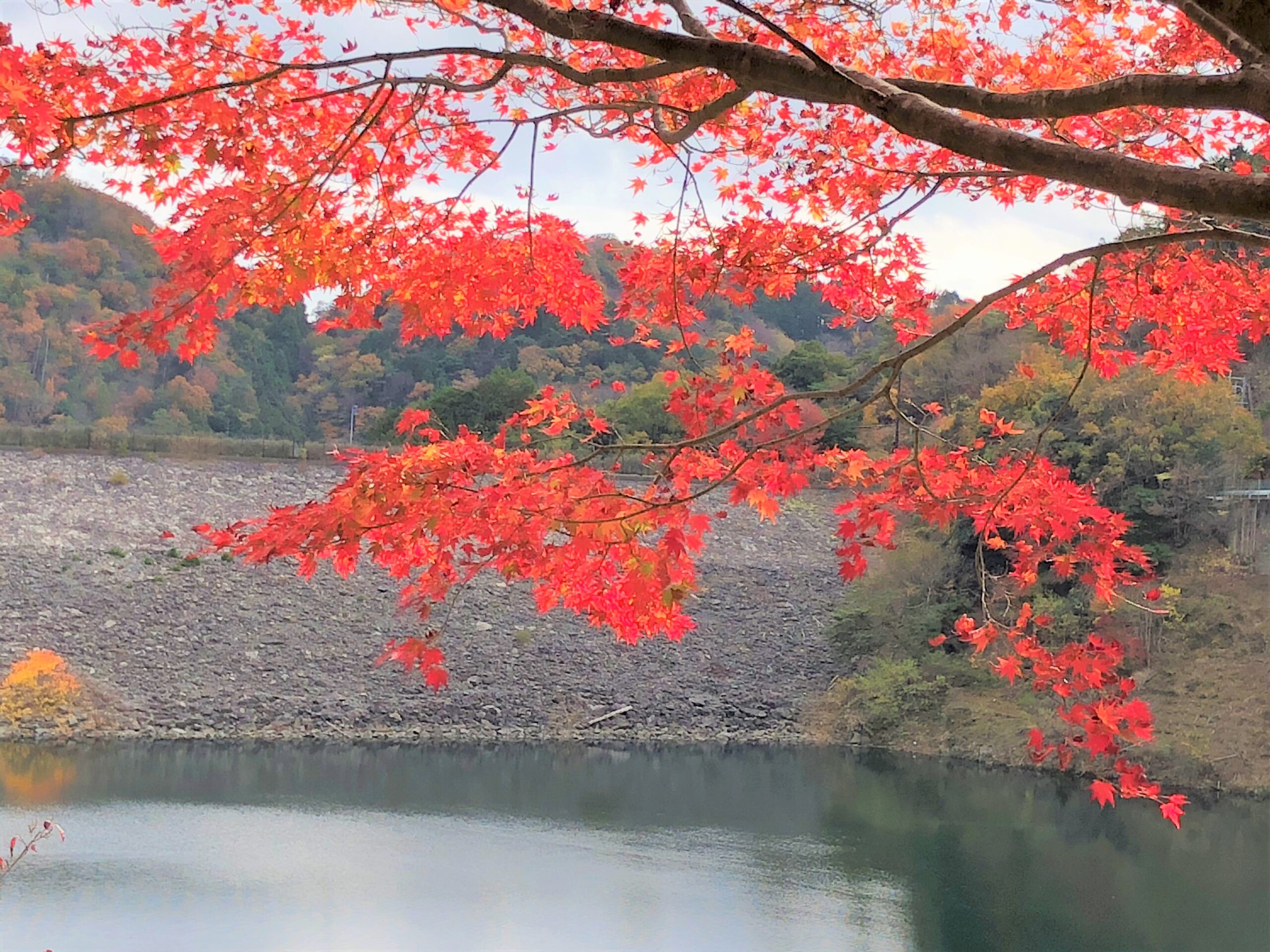 ブログ更新のお知らせ　～風邪対策完全マニアル･･･「前編：予防」
