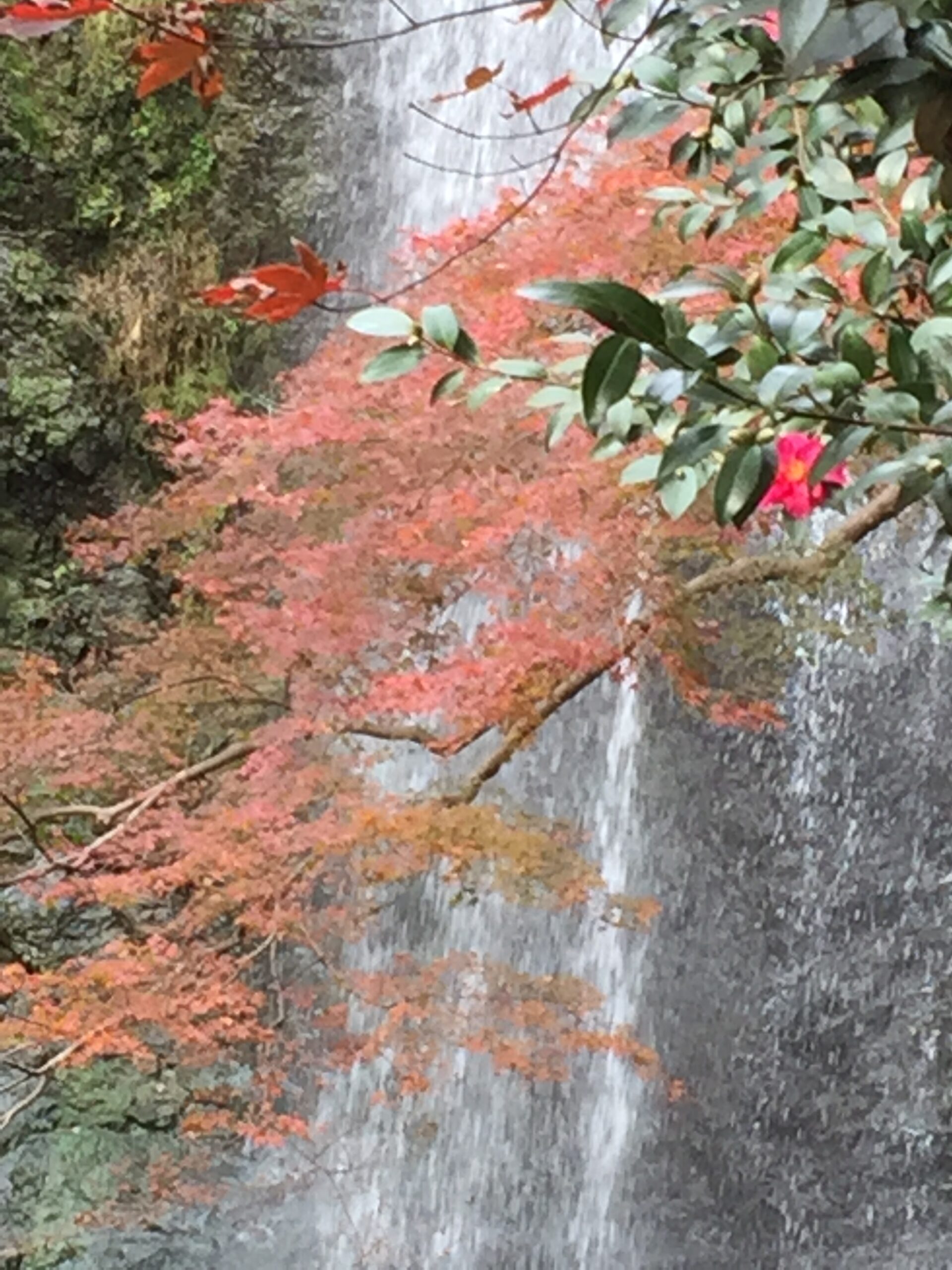 風邪対策 完全マニアル 前編:予防