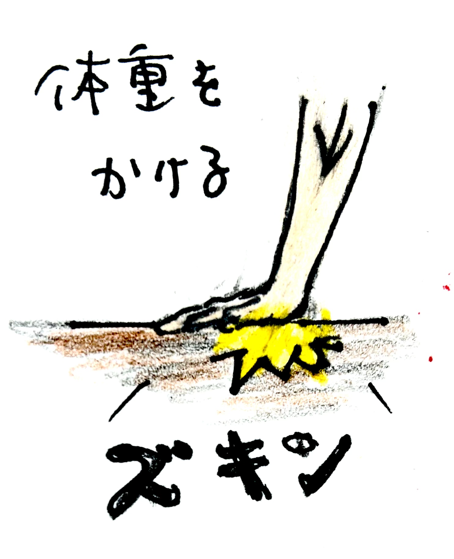 患者様の声を追加しました　115　手首の痛み、体全体の硬さが３回で･･･